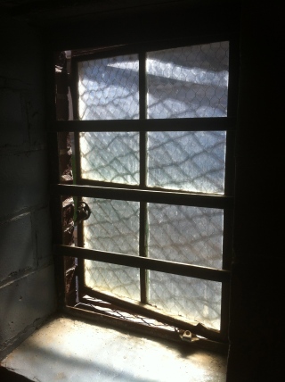 The cage's sole window, in the bathroom cell.